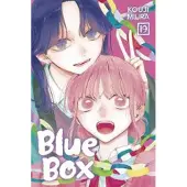 Kouji Miura Blue Box, Vol. 19