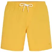 O'Neill Vert 16'' Surffishortsit golden haze Koko XL
