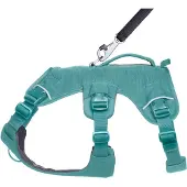 Ruffwear Web Master Koiran Valjaat