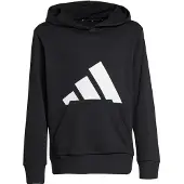 Adidas Essentials Big Logo Huppari