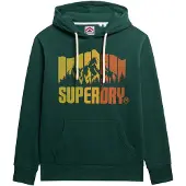 Superdry Mountain Rainbow Huppari