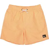 Quiksilver Everyday Deluxe Volley 14´´ Uimashortsit