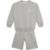 Adidas Originals Setti 'OVERSIZED CREW SHORTS' meleerattu harmaa