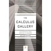 The Calculus Gallery - Masterpieces from Newton to Lebesgue