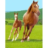 Sweet Home Hevoset Lasten viltti 100*140 cm