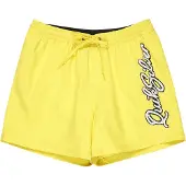 Quiksilver Everyday Malibu Volley 15 Surffishortsit acacia Koko M