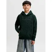 JACK&JONES JUNIOR Junior Collegepaita 'JJEStar' kuusi / valkoinen