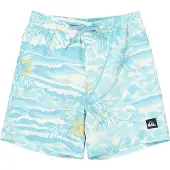 Quiksilver Everyday Printed Volley Yth 14 - Multi/patterned - 176