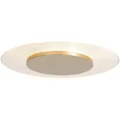 Steinhauer Led Lido, himmennettävä, Messinki/kulta, Olohuone/ruokailutila, Metalli, Moderni