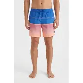 O'Neill Gradient 15'' Surffishortsit blue gradient stripe Koko L