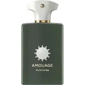 Amouage Purpose Man, EdP 100ml