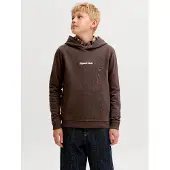 Jack & jones Jornorrebro Emb Sweat Hood Noos Jnr - Brown - 152