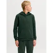 Jack & Jones Jjebradley Sweat Hood Noos Jnr - Green - 164