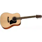 Walden Guitars Walden D450W Western kitara (Luonnollinen)