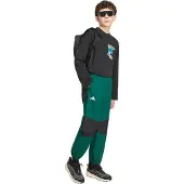 Adidas Terrex Multi 2 Layer Climaproof Rain Track Housut