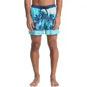 Quiksilver Everyday Printed Volley 15´´ Uimashortsit