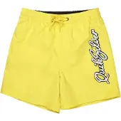 Quiksilver Everyday Malibu Volley 14´´ Uimashortsit
