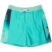 Quiksilver Everyday Holmes Volley 16´´ Uimashortsit