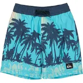 Quiksilver Everyday Printed Volley 13´´ Uimashortsit