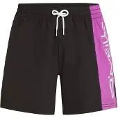 O'Neill Retro 14'' Surffishortsit digitalis colour block Koko L