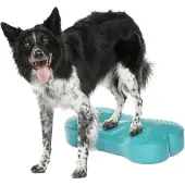 FitPAWS K9FitBone, 58 x 29 x 10 cm