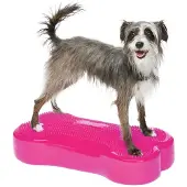 FitPAWS K9FitBone, 58 x 29 x 10 cm