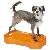 FitPAWS K9FitBone, 58 x 29 x 10 cm