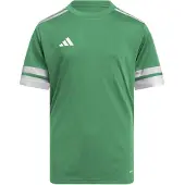 Adidas Toiminnallinen paita 'SQUA25' vihreä / valkoinen