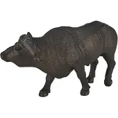 Animal planet Wildlife Buffalo