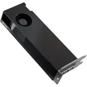 Dell NVIDIA RTX 2000 ADA, 16 GB, 4MDP, LOW-PROFILE (-M7X81)