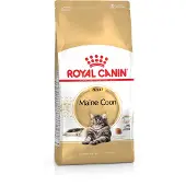Royal Canin - Maine Coon Adult Dry kissanruoka 10 kg - Kissat - Kissanruoka - Kuivaruoka