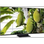 TCL 55" MSQLED85L 4K SQD-Mini LED TV (2026)