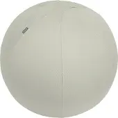 Leitz Ergo, aktiivipallo lisäpainolla, 65cm, vaaleaharmaa