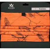 Alaska CoolDry Bandana Blaze 3D