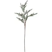 Bloomingville Pine