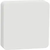 Schneider Electric Electric Wiser paristokäyttöinen lämpötila/kosteusanturi