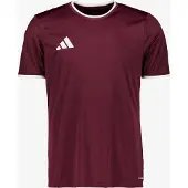 Adidas Toiminnallinen paita 'Entrada26' burgundin punainen / valkoinen