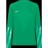 Nike Goalkeeper Jersey Dri-Fit Park - Green - XS