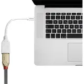 Lindy 41021, 0,15 m, Mini DisplayPort, DisplayPort, Uros, Naaras, Valkoinen