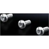 Rittal RUUVI M5X12 500KPL KUPUTÄHTIKANTA (2489500)