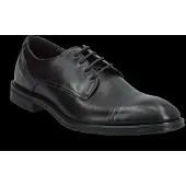 Lloyd X-Motion 150 - Black - 40.5