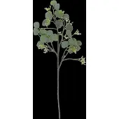 Eucalyptus Stem - Green - H82CM
