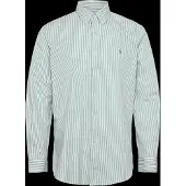 Ralph Lauren Custom Fit Striped Stretch Poplin Shirt - Green - XXL