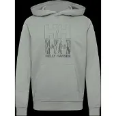Helly Hansen Core Graphic Huppari