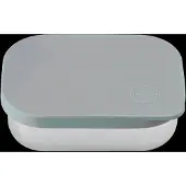 Aya & Ida Lunch Box - Green - 900 ML