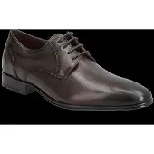 Lloyd Core 111 - Brown - 41