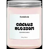 Kosta Boda Mind tuoksukynttilä Cactus Blossom, 550 g