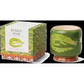 PADDYWAX A Dopo Prickly Pear tuoksukynttilä 226 g