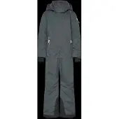 Reima Reimatec Winter Overall, Reach - Silver - 92