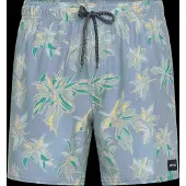 Rip Curl Sessions Volley Uimashortsit